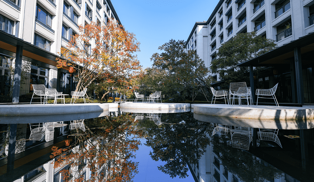 1734235868176 1734235868176