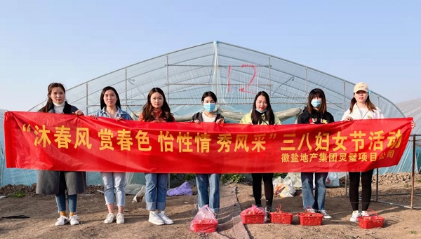 suncitygroup̫--ٷվ