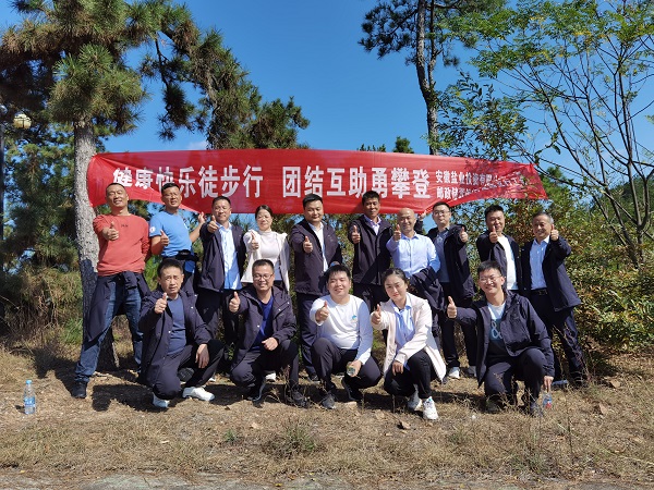 suncitygroup̫--ٷվ