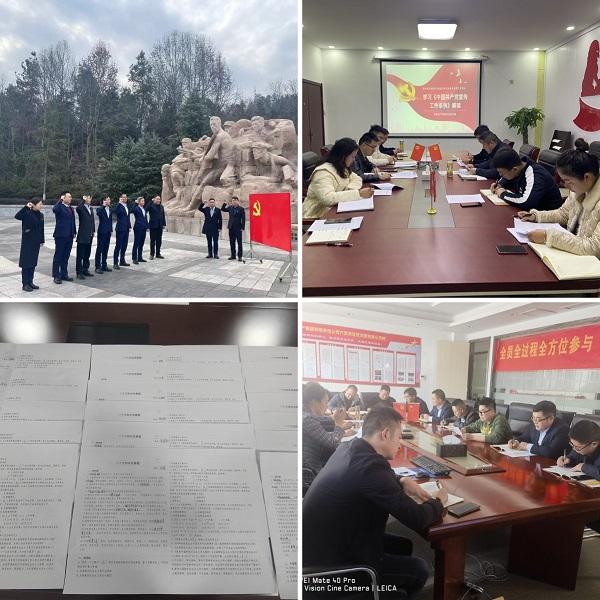 suncitygroup̫--ٷվ