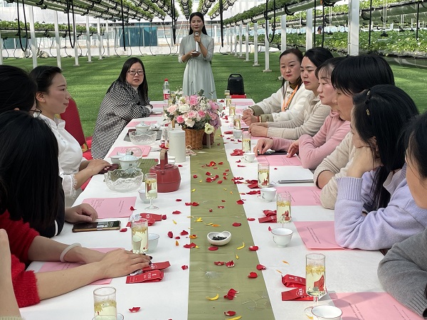 suncitygroup̫--ٷվ