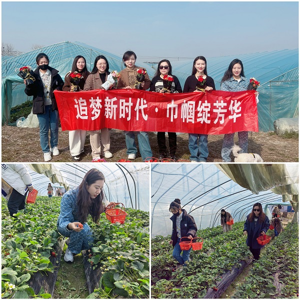 suncitygroup̫--ٷվ