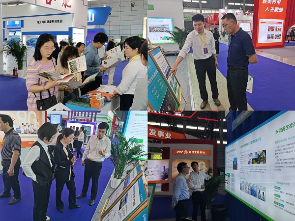 suncitygroup̫--ٷվ